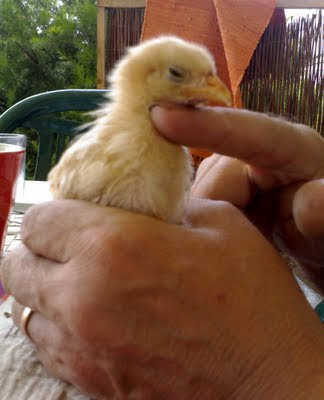 Les mains de mon père