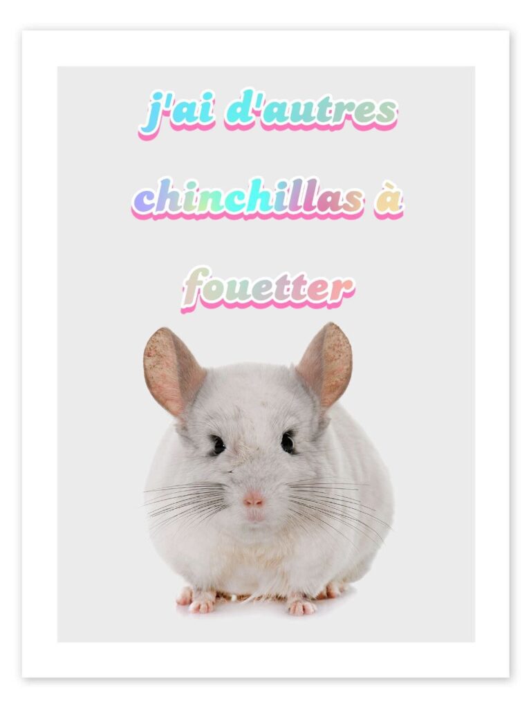 J’ai d’autres chinchillas à fouetter