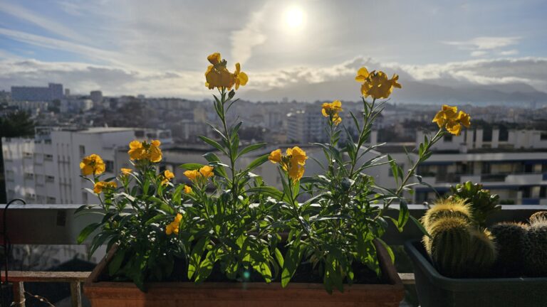 Le lundi au soleil