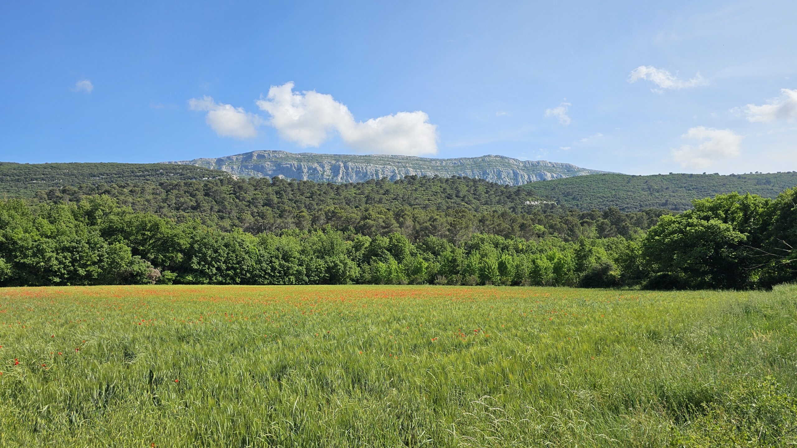 Aux sources de l’Huveaune