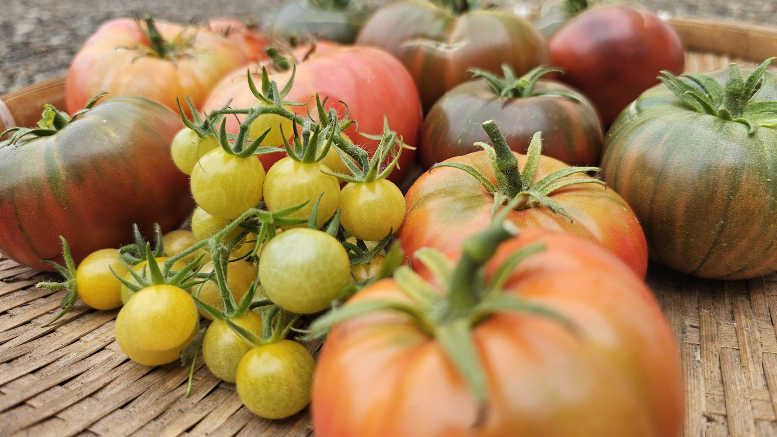 Des tomates et une partie de sudoku