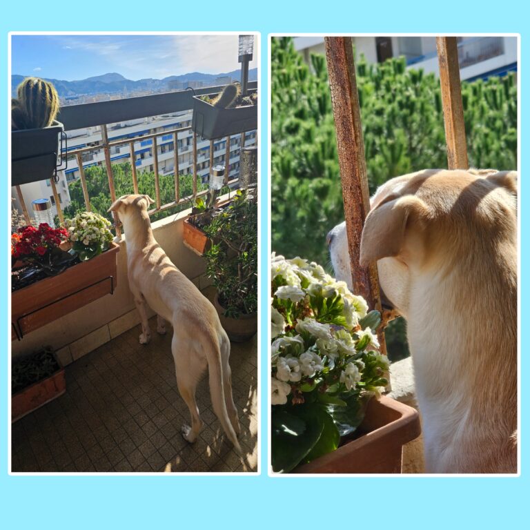 Mon ordinateur a craché