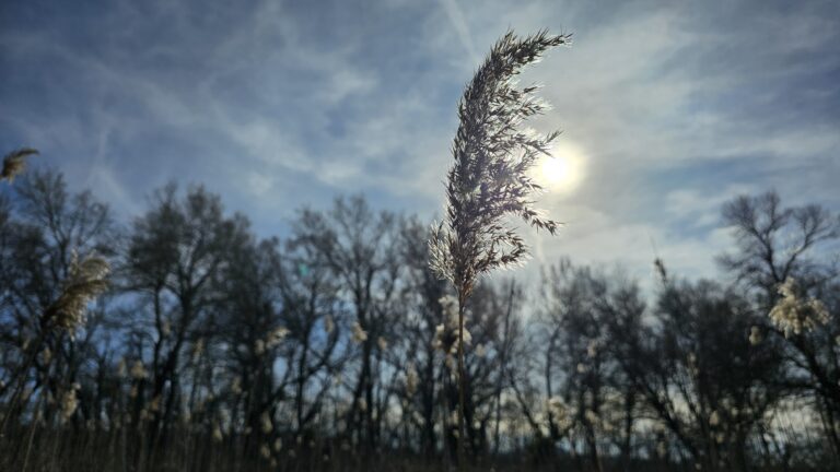 Et au milieu coule la Durance (2)