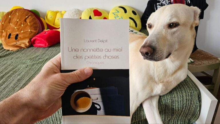 Une nonnette au miel des petites choses — le livre