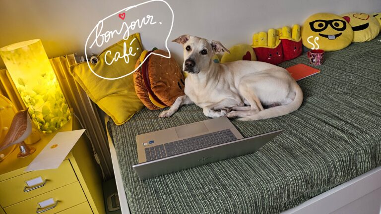 Les lettres économisées