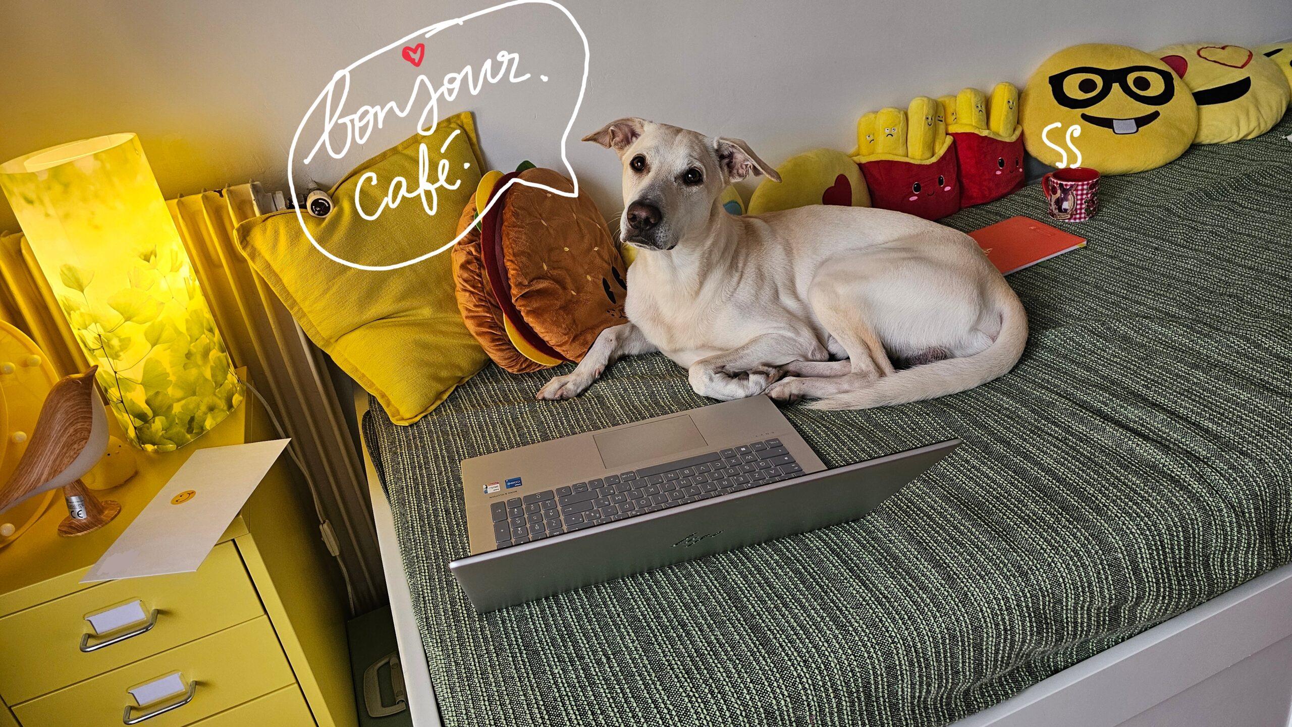 Les lettres économisées