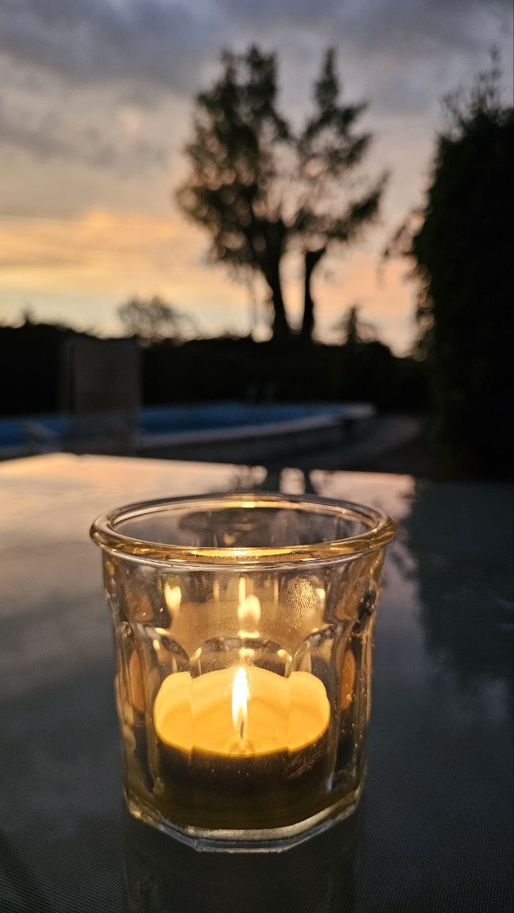 L’abeille coule